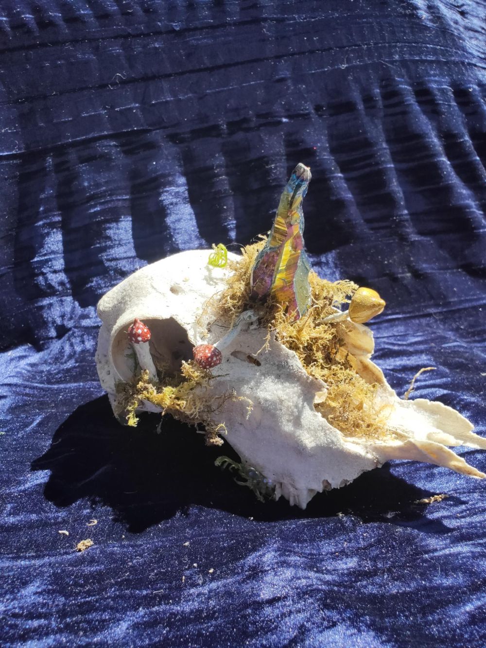 Unicorn skull