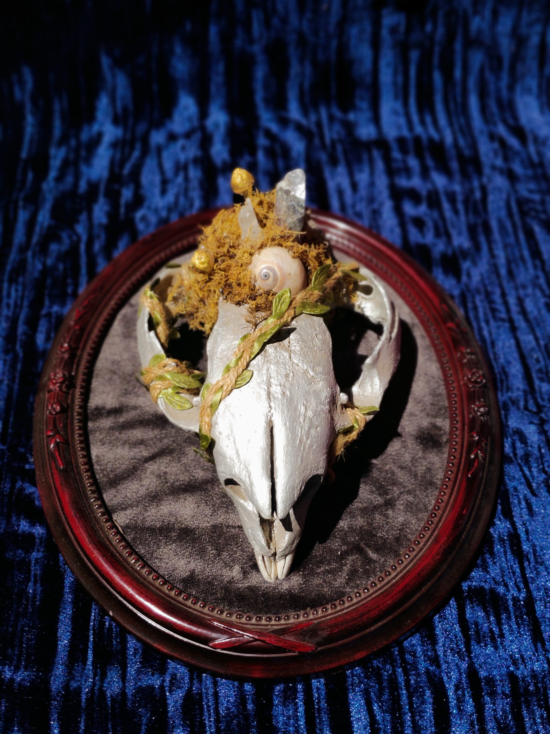 Goblin king wombat skull