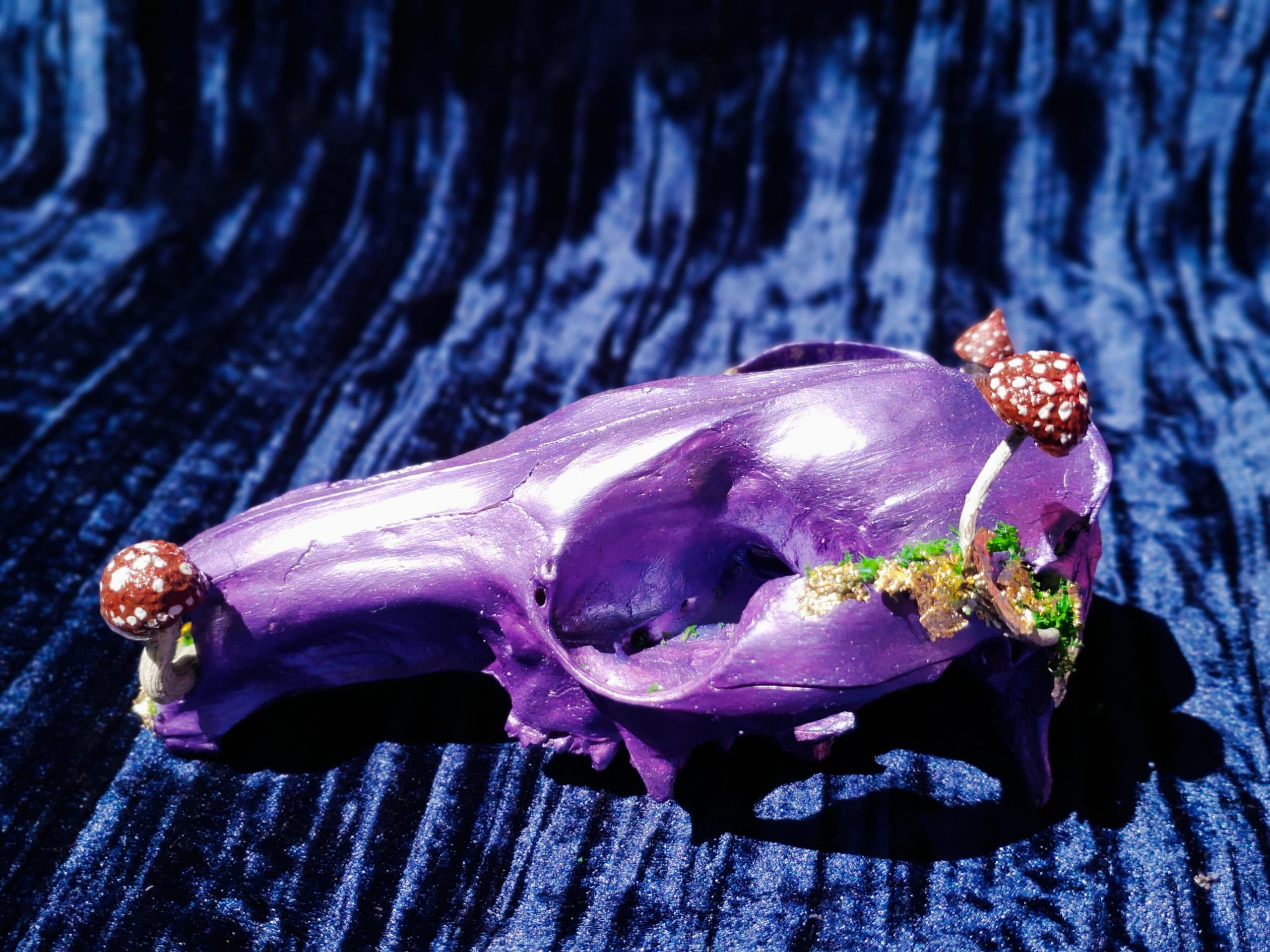 Purple skull